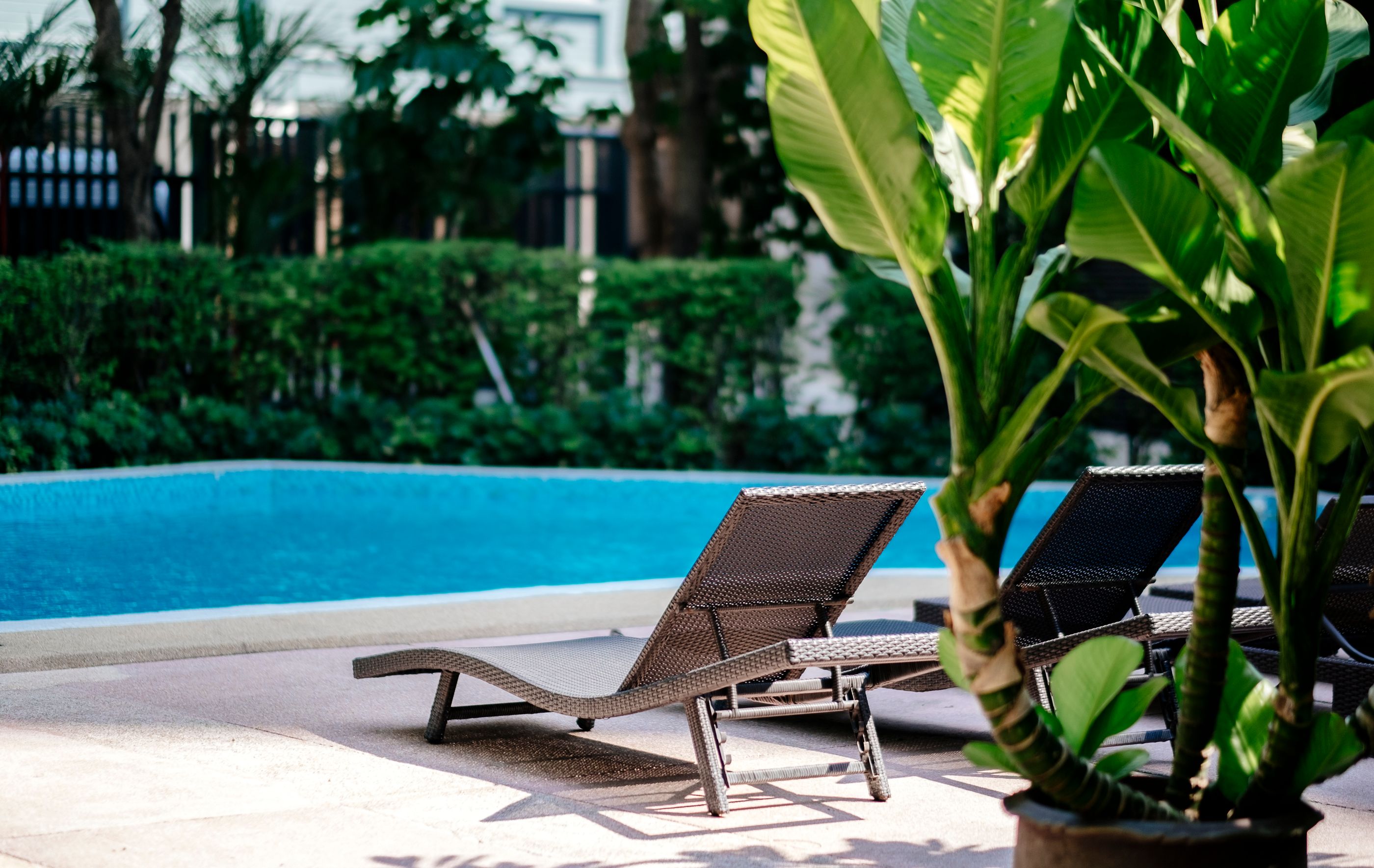 Backyard pool with many plants and lawn chairs