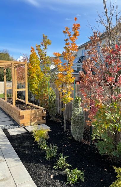 Freshly landscaped garden with trees